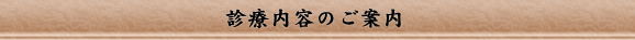 診療内容のご案内